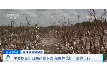 央視調(diào)查：棉花大漲！服裝訂單量下滑，外貿(mào)企業(yè)面臨“三座大山”