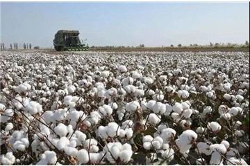 重磅！美方再度