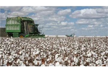 煎熬！國(guó)產(chǎn)棉賣不掉，進(jìn)口棉買不起，國(guó)內(nèi)外棉價(jià)走勢(shì)背離，對(duì)紡織企業(yè)影響幾何？